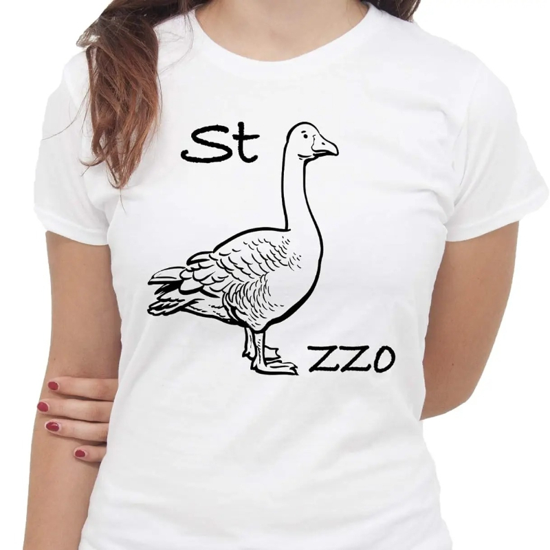 Футболка IMage Goose Rebus, за – обзор и цена Summer Clothing Images